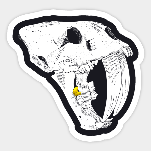 Gold Tooth Tiger Toothtiger Sticker TeePublic